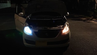 021105LIMEY2.jpg