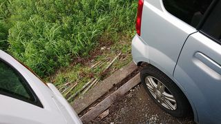 030522P-s2.jpg
